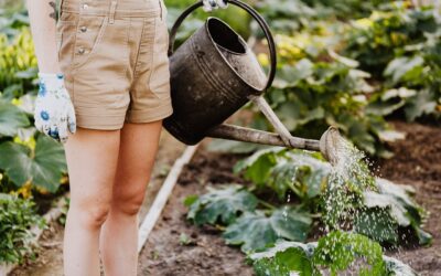Creating a Sustainable Garden: Eco-Friendly Tips