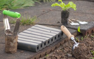 The Top 5 Tools Every Gardener Needs